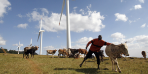 Afrique électricité éolienne