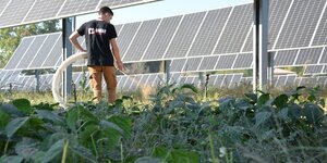 glhd landes agrivoltaIque solaire