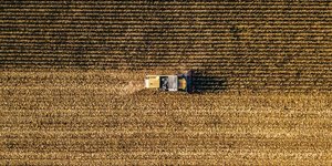 Illustration agriculture, tracteur, champ