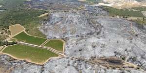 Le feu traverse les forêts, les pinèdes, les cultures, mais est stoppé par la vigne, comme toujours en zone méditerranéenne.