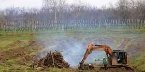 MalgrE l& 39 arrachage de 18 000 hectares de vignes en trois ans, le vignoble bordelais reste noyE dans la surproduction.