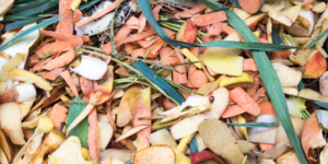 Quand les bio-dchets de la COP21 deviennent du  compost haute couture 