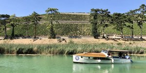 Tourisme viticole sur la Marne
