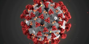 Une nouvelle variante du coronavirus decouverte en angleterre