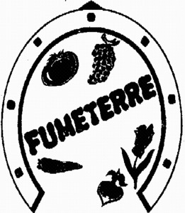 FMARK0000000001209611