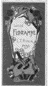 FLORAMYE L.T. PIVER_logo