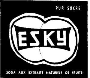 ESKY_logo