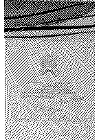 CHATEAU MOUTON ROTHSCHILD_logo