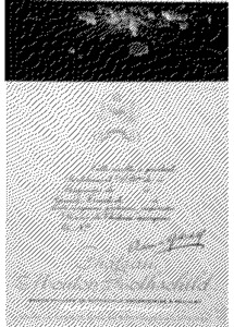 CHATEAU MOUTON ROTHSCHILD_logo