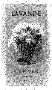 LAVANDE L.T. PIVER_logo