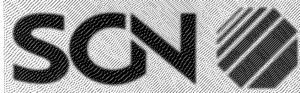SGN_logo