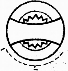 FMARK0000000001368101