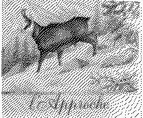 FMARK0000000001421411