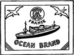 OCEAN AA_logo