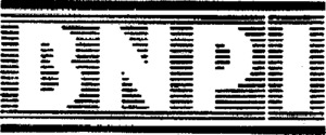BNPI_logo
