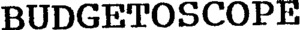 BUDGETOSCOPE_logo