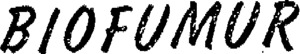 FMARK0000000001643424