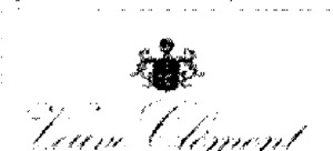 VEUVE CLEMENT_logo