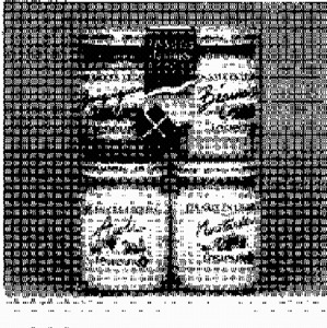 LES SAUCES LEGERES REGIONALES LESIEUR_logo