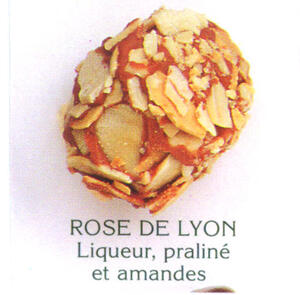 ROSE DE LYON_logo