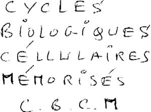 CYCLES BIOLOGIQUES CÉLLULAIRES MÉMORISÉS C.B.C.M_logo
