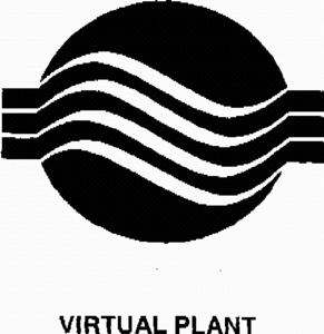 VIRTUAL PLANT_logo