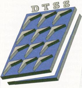 DTSS_logo