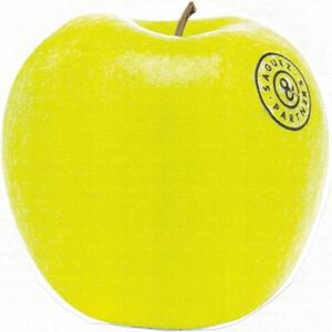 SAGUEZ & PARTNERS_logo