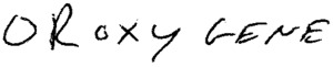 FMARK0000000003140340