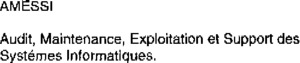 AMESSI AUDIT, MAINTENANCE, EXPLOITATION ET SUPPORT DES SYSTEMES INFORMATIQUES_logo