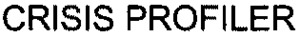 CRISIS PROFILER_logo