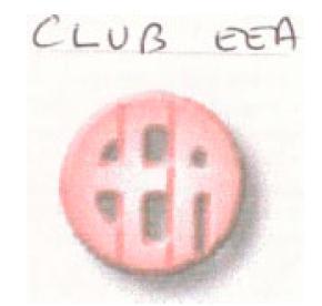 CLUB EEA_logo