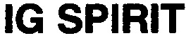 IG SPIRIT_logo