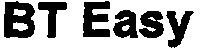 BT Easy_logo