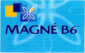 MAGNÉ B6_logo