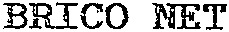 BRICO NET_logo