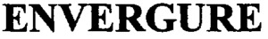 ENVERGURE_logo