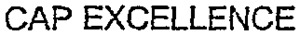 CAP EXCELLENCE_logo