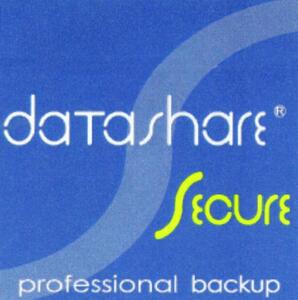 datashare secure professional back up_logo