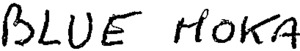 FMARK0000000003243244