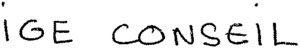 IGE CONSEIL_logo