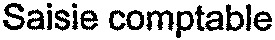 Saisie comptable_logo