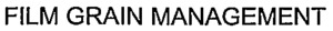 FILM GRAIN MANAGEMENT_logo