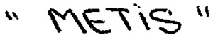 METIS _logo