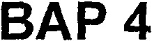 BAP 4_logo