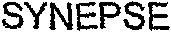 SYNEPSE_logo