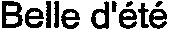 Belle d'été_logo