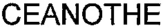 FMARK0000000003384368