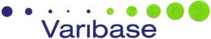 VARIBASE_logo