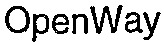 OpenWay_logo